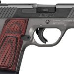 Kimber-EVO-SP-fire-arms.net